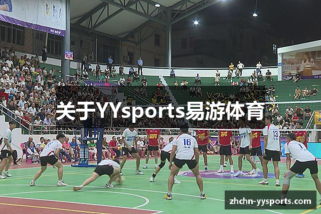 关于YYsports易游体育